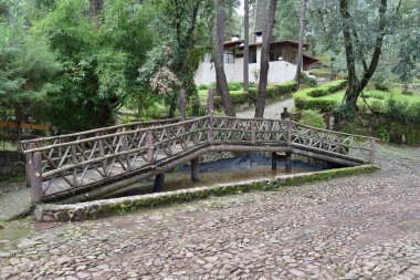 Los Cazos, Mazamitla, Jalisco, Meksika 'da kaldırım taşları ve yemyeşil ormanlarla çevrili küçük bir dereden geçen Rustik ahşap köprü.
