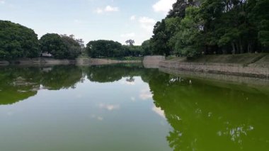 Jalisco 'daki El Dean Parkı' nda gölün yüzeyinde geriye doğru uçan hava görüntüsü.