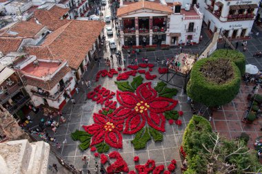 Taxco, Guerrero, Meksika 'nın ana meydanında Noel şenlikleri sırasında noktalı çiçek aranjmanının çarpıcı bir görüntüsü.