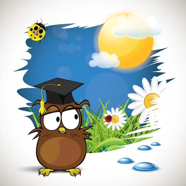 Baykuş yaz konsepti