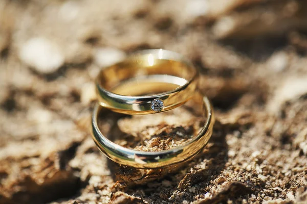 Anéis de casamento na casca da árvore — Fotografia de Stock