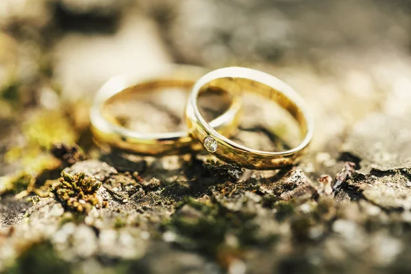 Anillos de boda de oro — Foto de Stock