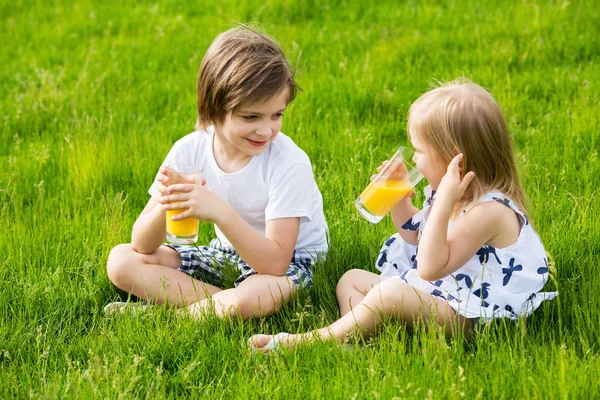 Barn picknick — Stockfoto