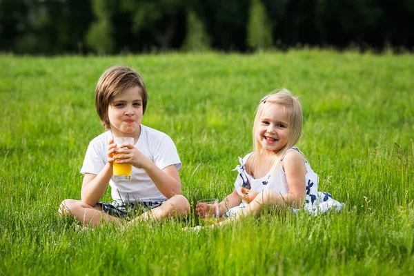 Utomhus barn picknick — Stockfoto