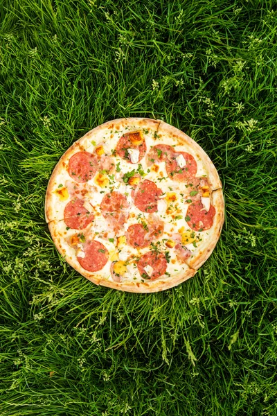 Pizza and Nature — Stock Photo, Image