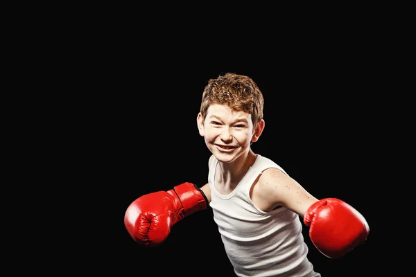 Neşeli boksör — Stok fotoğraf