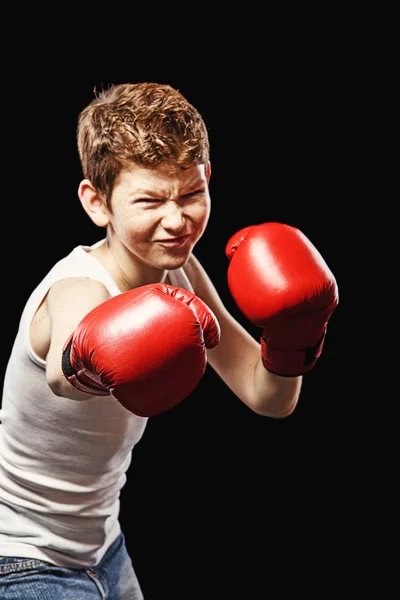 Zwężone bokser — Zdjęcie stockowe