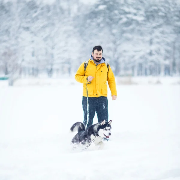 På promenad — Stockfoto