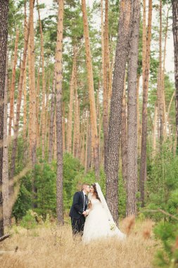 öpüşme yeni evliler