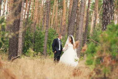 Yeni evli bir yürüyüş