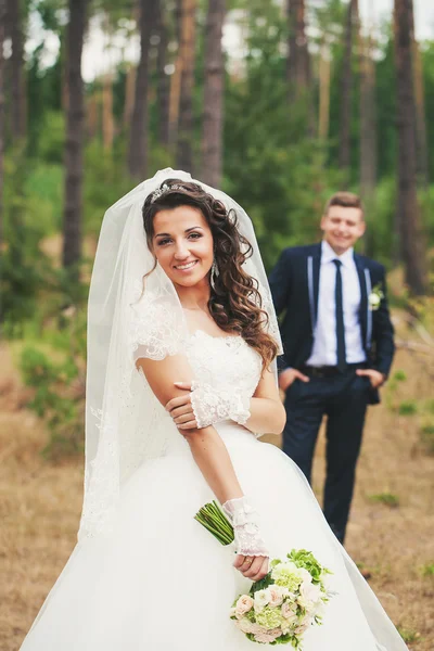 Delicate bride — Stock Photo, Image