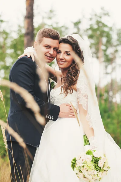 Glück gefunden — Stockfoto