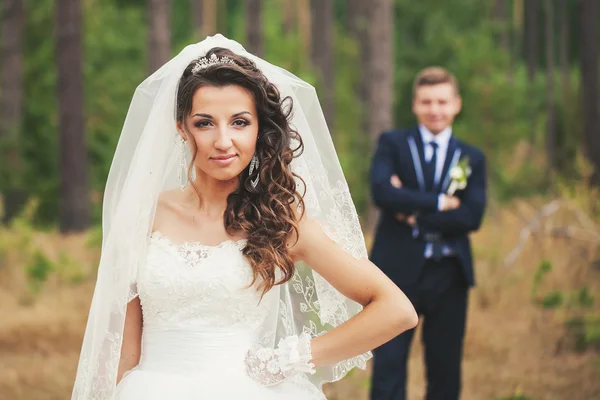 Нежный взгляд невесты — стоковое фото