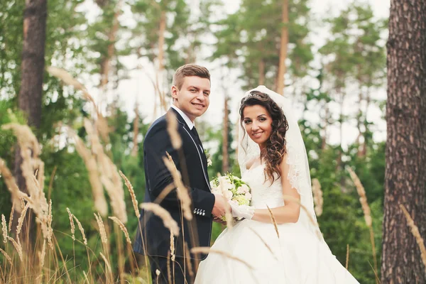 Bedrijf handen — Stockfoto