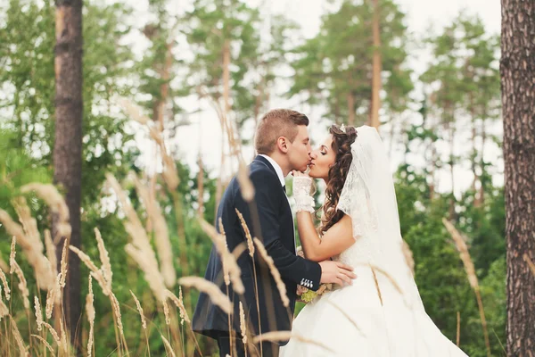 Kuss auf die Lippen — Stockfoto