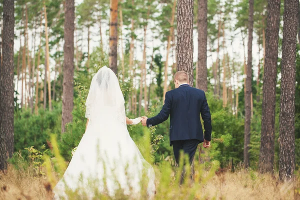 Verlaten weg — Stockfoto