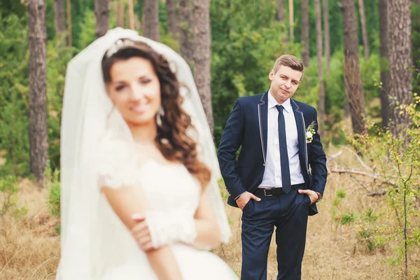 Look at the bride groom — Stock Photo, Image