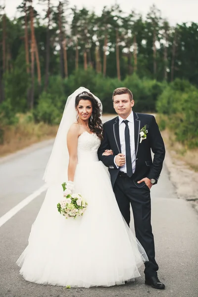 Jeunes mariés sur la route — Photo