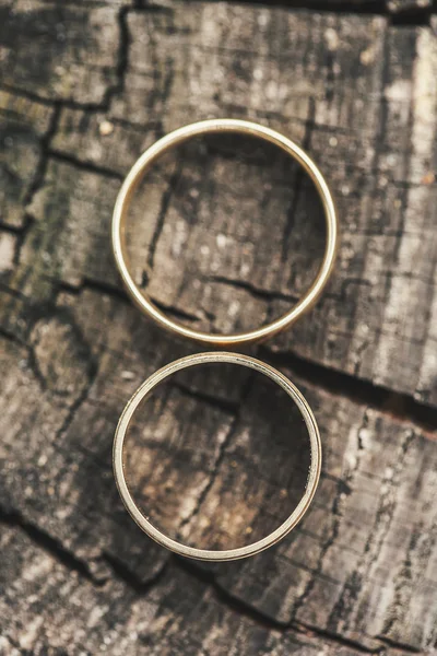 Anillos en un árbol — Foto de Stock