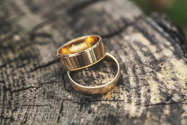 Two rings on a tree stump — Stock Photo, Image