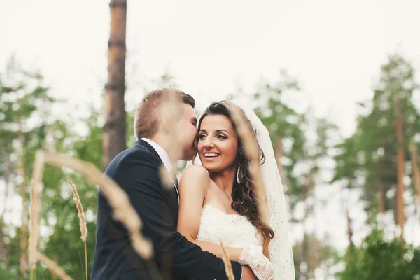 Whispering in his ear — Stock Photo, Image