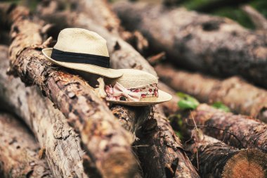 Şapka günlükleri hakkında