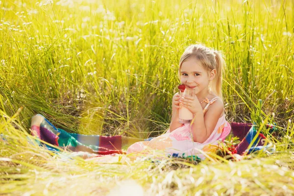 Summer picnic on nature — Stock Photo, Image