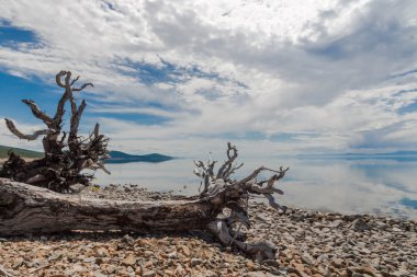 Moğol Gölü. Hovsogol