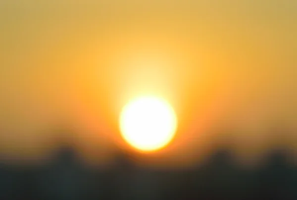 Solf ve mevsimlik fous, güneş ışığı