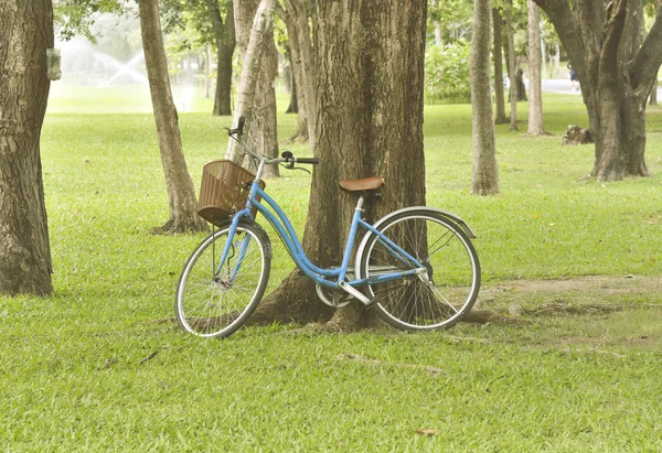 Bicyle на троих в саду — стоковое фото