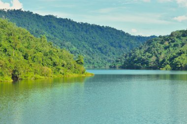 Güzel yeşil orman gölü çevreleyen