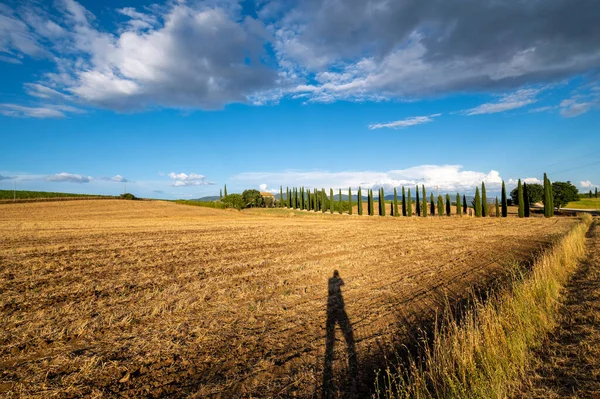 Schöne Details Der Italienischen Und Römischen Landschaft Ein Feld Aus — Stockfoto