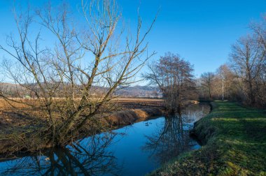 Kuzey İtalya kırsalının ayrıntıları, nehrin ayrıntıları ve ağaçların nehirde yansıtıldığı setlerin detayları soğuk bir sonbahar gününde güneşin yansımalarıyla, ama güneşle. Veneto. İtalya.