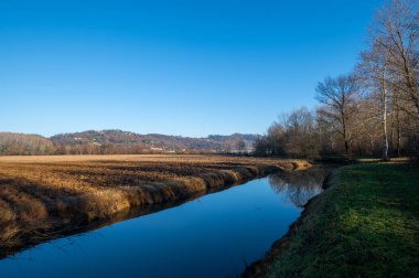 Özellikle kuzey İtalya kırsalının, özellikle nehrin ve toprak setlerinin, sonbaharda mavi bir gökyüzünde ağaçların olduğu, soğuk ama güneşli. Veneto. İtalya
