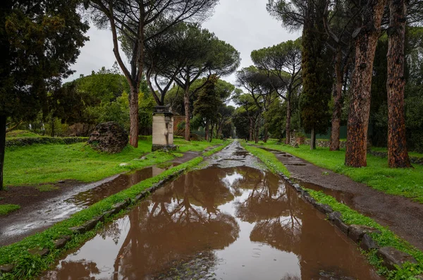 Appia Antica Dopo Tempesta Rovine Delle Tombe Pini Marittimi Riflettono — Foto Stock