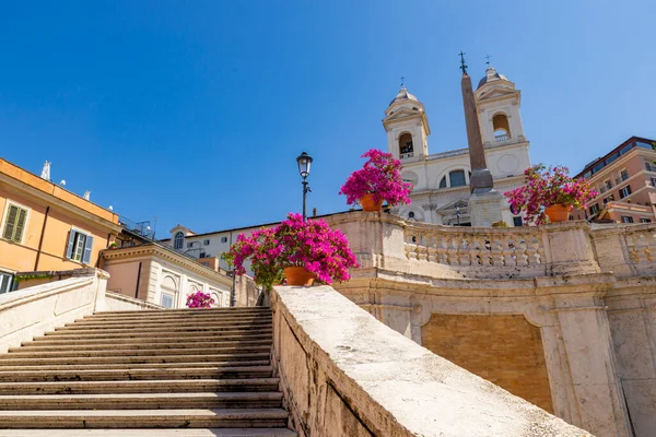 スペイン階段の正面パノラマ 教会とObeliskとトリニータ モンティ ローマ ピンクと白のツツジの爆発と春には すべてのスケールに沿って イタリア — ストック写真