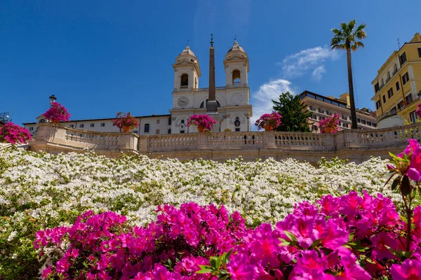 トリニータ モンティ教会とスペイン広場の壮大なパノラマローマの中心部のオベリスク 青い空と春に 雲とツツジの花のカスケード ローマ イタリア — ストック写真