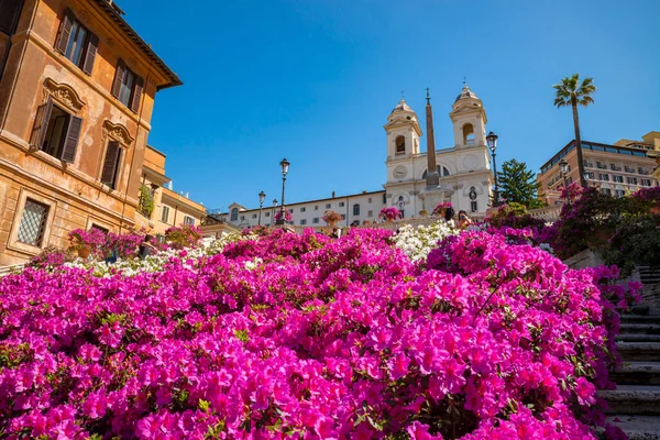 ローマ スペイン広場トリニータ モンティ教会で有名なオベリスク広場のステップ バロック様式の階段を着色白とピンクのツツジの花の春に イタリア — ストック写真