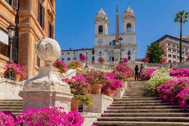 Perspective panorama of the famous Spanish Steps with the Trinita dei Monti church the obelisk in the center of Rome, with a blue sky, clouds and azaleas flower display.Rome, Italy. clipart