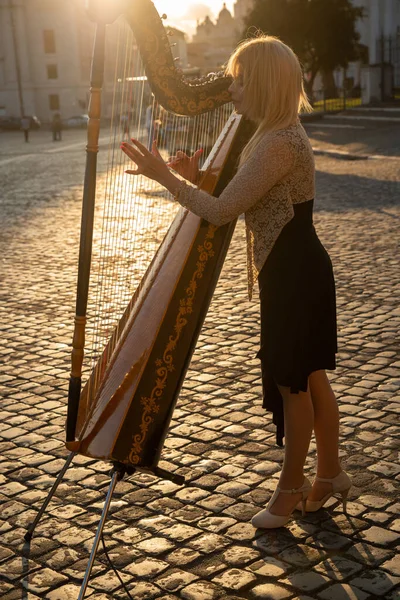 Hermoso Músico Arpa Tocando Cerca Del Ponte Degli Angeli Sobre — Foto de Stock