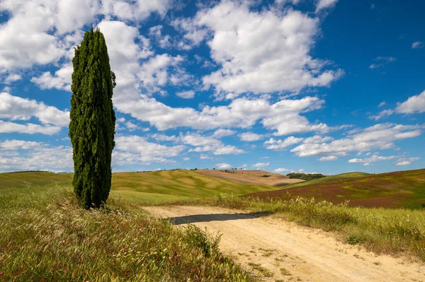Blick Auf Die Toskanische Landschaft Des Val Orcia Siena Toskana — Stockfoto