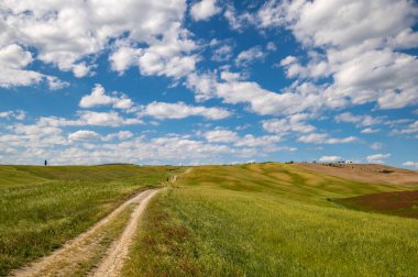 Toskana 'da gökyüzü ve bulutlarla manzaralı bir yer. Val d 'Orcia' daki tarım arazileri, yeşil tepeler, çiçekli çayırlar, San Quirico d 'Orcia Siena, Monte Amiata ve Umbria, İtalya yakınlarındaki köy yolu..
