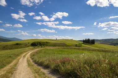 Toskana kırsalının selvi manzarası Val d 'Orcia Siena Tuscany. Mavi gökyüzü, bulutlar ve selvi çiçekli kır yolu. İtalya kırsal bölgesi, Avrupa.