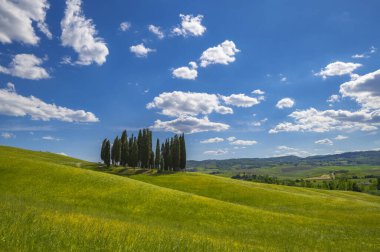 Tuscany İtalya Panoramik Tarım Alanı 'nın mavi gökyüzüne ve Monte, Amiata yakınlarındaki San quirino d' orcia Siena 'daki bulutlara karşı manzarası..