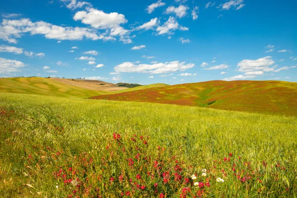 Beautiful Tuscan Landscape Val Orcia Italy Colorful Fields San Quirino — Stock Photo, Image