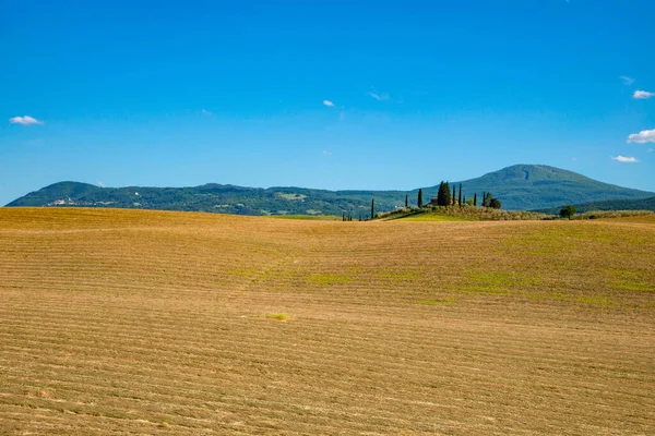 Panoramic View Plowed Yellow Field Tuscany Hills Val Orcia Blue — Stock Photo, Image