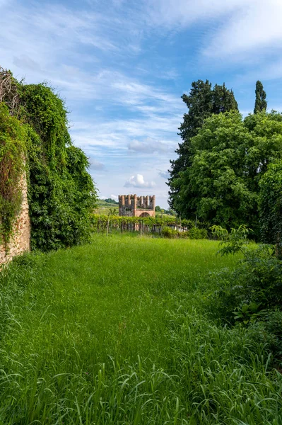 One Towers Medieval Castle Soave Verona Detail Garden Vines Blue —  Fotos de Stock