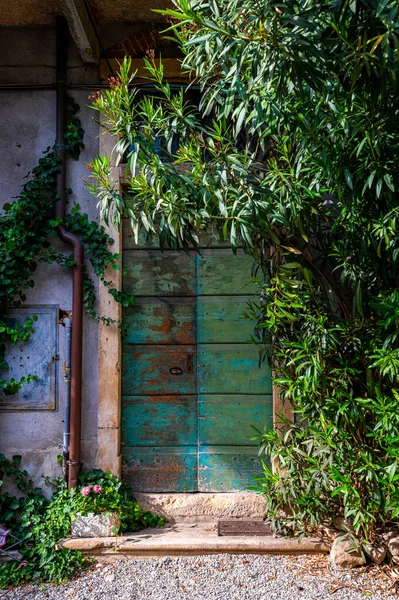 Beautiful Antique Wooden Door Green Brown Reflections Entrance Historic House — Foto de Stock