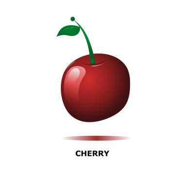 kiraz meyvesi gerçekçi vektörü AD254