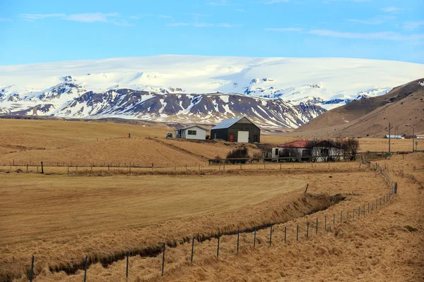 Houses in rural area in Iceland — Stock Photo, Image